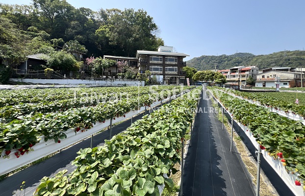 苗栗大湖知名溫泉會館周邊環境